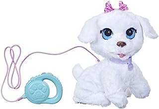 dog toy